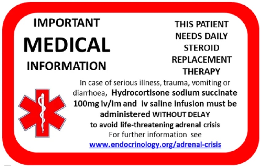 Featured image for The Dangerous Invisibility of Addison’s Disease